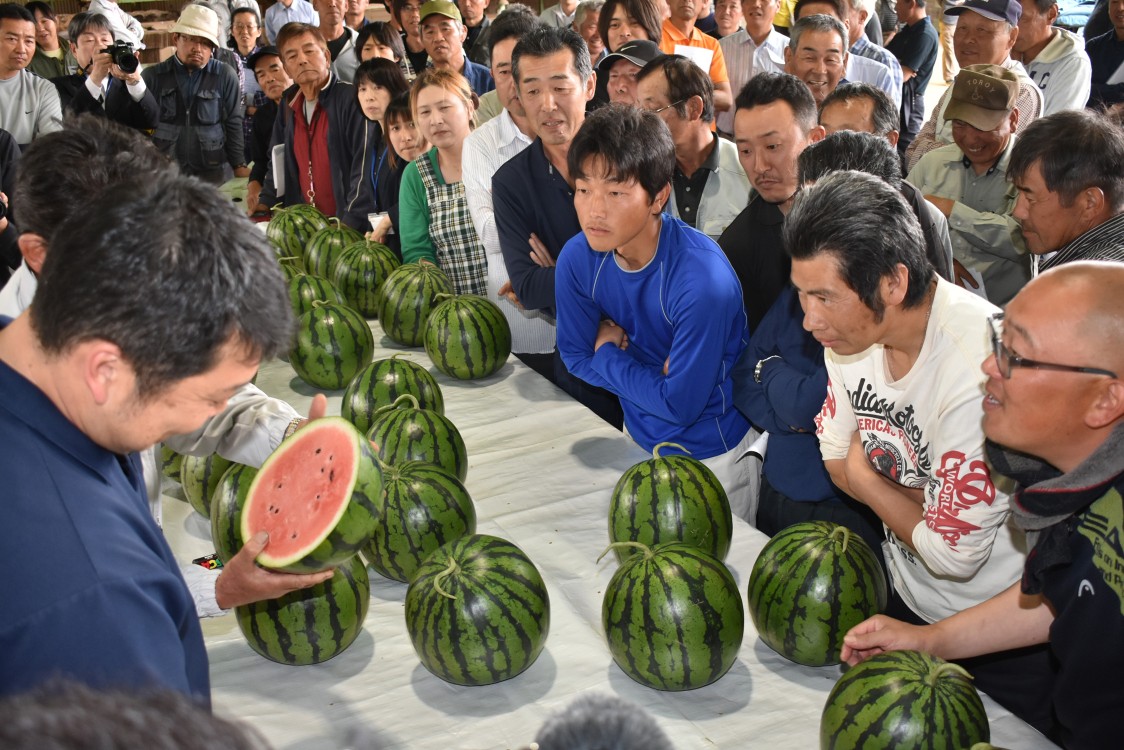 富里スイカの特徴と栽培方法 Ja富里市