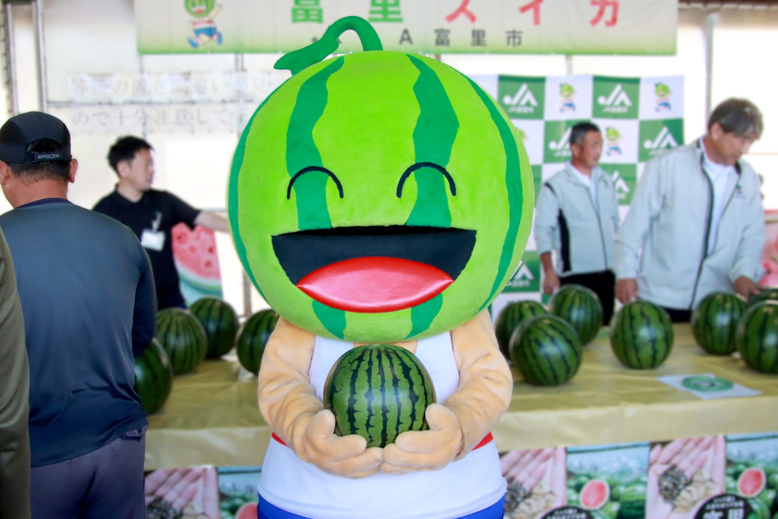 シャリっと甘い！富里スイカ